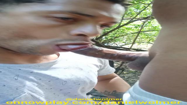Vídeo 311