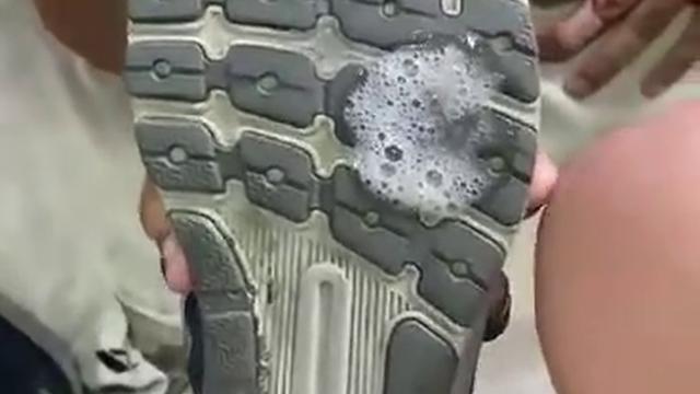 Cadela pig lambendo cuspe e sola