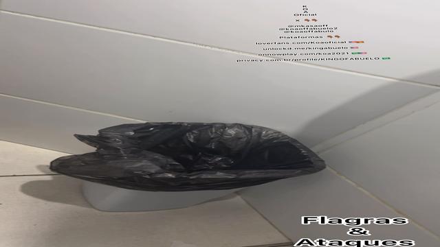 23/08/2026 novos bons flagras e ataques