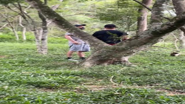Parque do Carmo 
