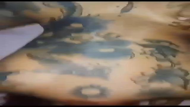 Safada me dando o cusinho 