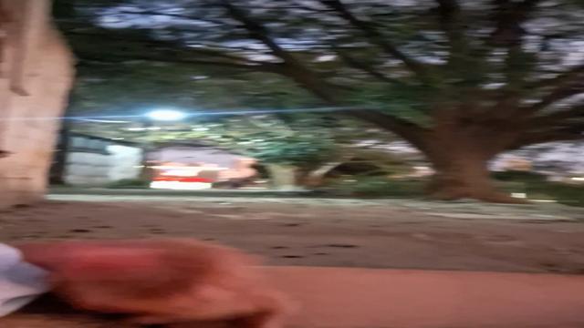 Punhetinha no fim de tarde