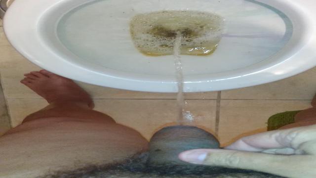 Vaca pagando cerveja 