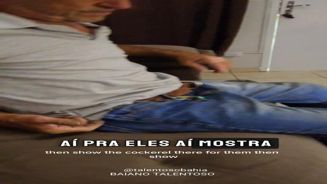 HOJE A ATARDE O COROA JARDINEIRO FEZ UMA RÁPIDA VISI...