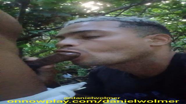 Vídeo 219