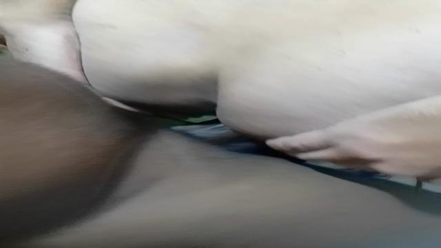 Puto de Curitiba abrindo o cu pra levar pica