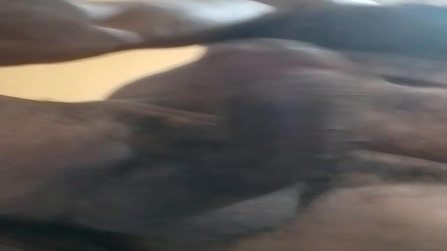 Antônio 