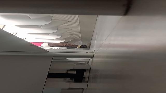 Que delícia esses machos 