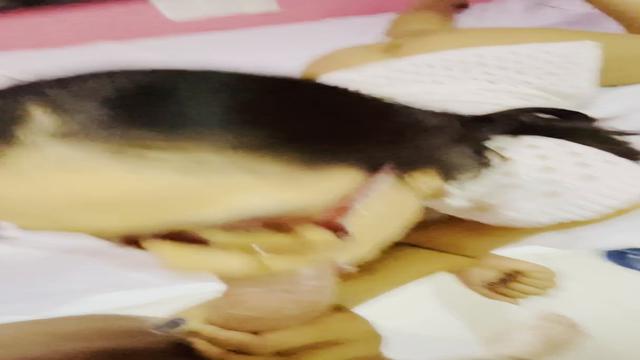 NOVINHA SUBMISSA É HUMILHADA POR COROA PIROCUDO