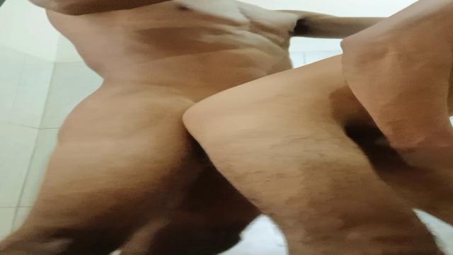 Cavalo Niteroi 24 cm