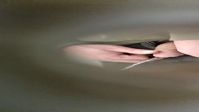 Spy