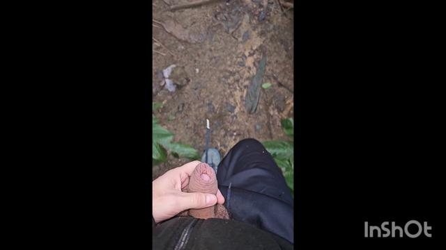 Caminhando no parque de pau para fora da calca, espe...