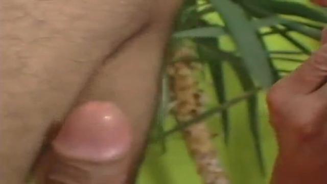 Encontrei o gostoso na praça e levei pra foder 