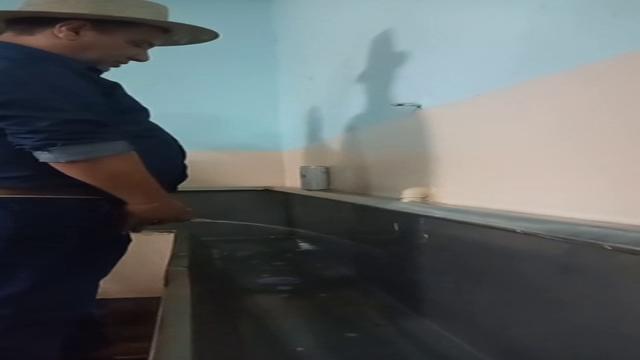 Brazilian men pissing at bathroom
