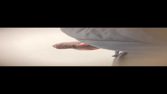 Spy