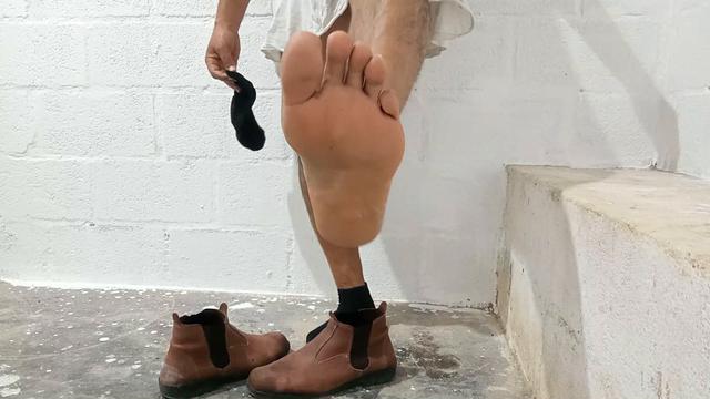 Urso dotadão macetando a pica