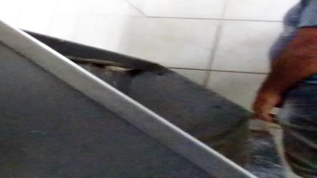 PISSING #254