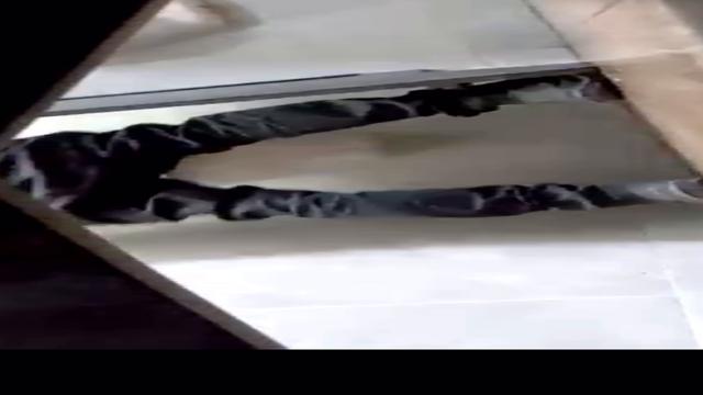 Os boys delícias da nova empresa 