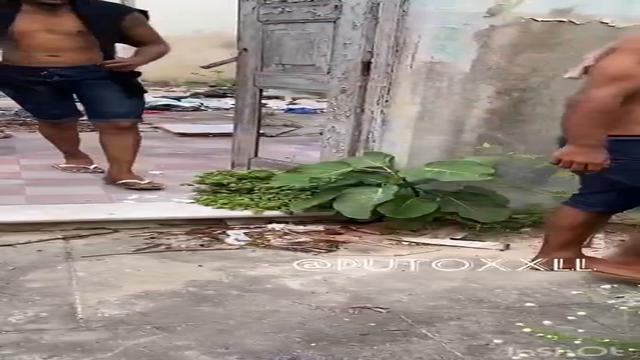 Três Pentelhudos na casa abandonada 