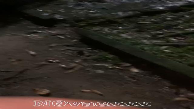 I put the young one to suckle in the woods and punched him in the ass