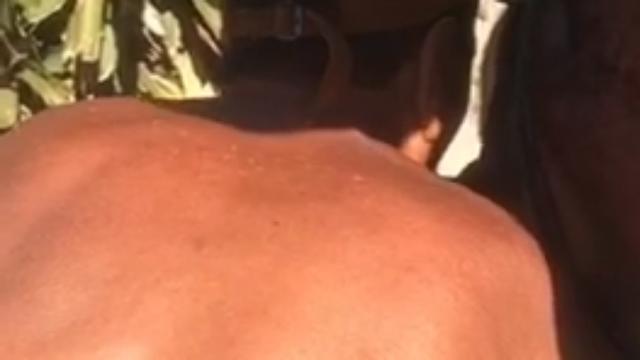 Mamada na praia 