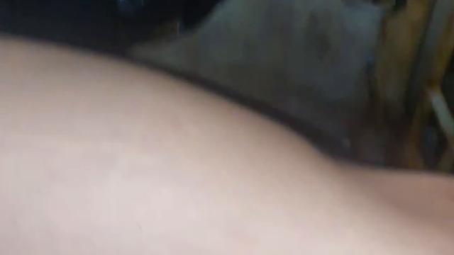 No terreno baldio