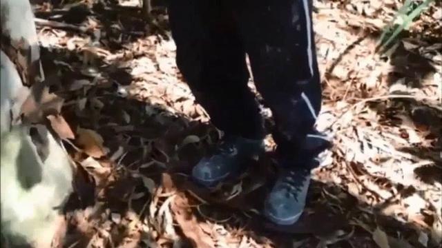 256- sendo marmita de mais um peão no matinho