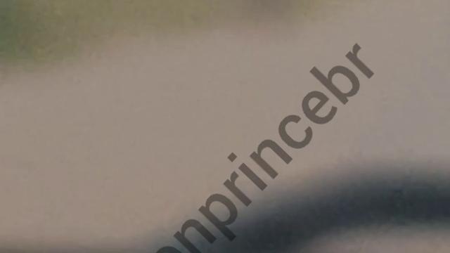 MACHO SÓ ME DEU LEITE NA ESTRADA E SEGUIU SEU CAMINHO