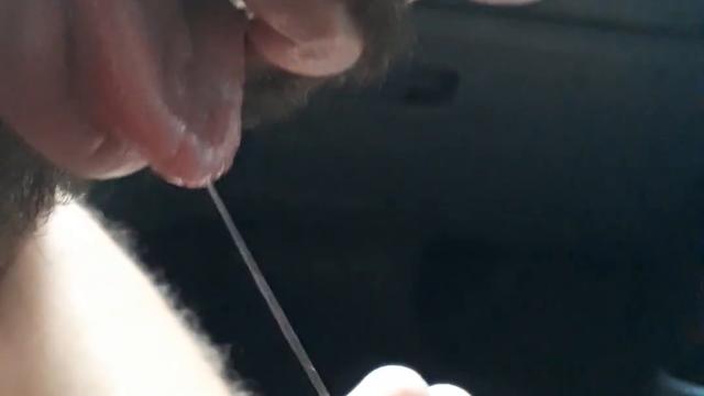 Lambi a baba do pau do amigo do meu primo 