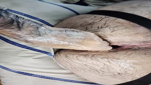 Training Urso - Cena bônus (Vídeo inédito - Dezembro...