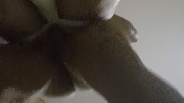 Botando o padre da minha cidade para rezar parte.4