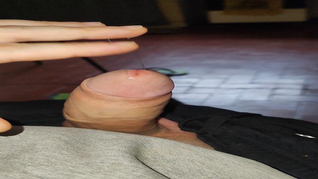 Babão ?