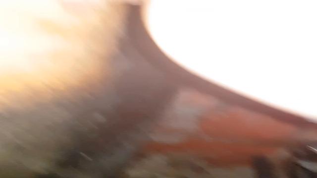 33. Cabins and 33 Milkings in the ass