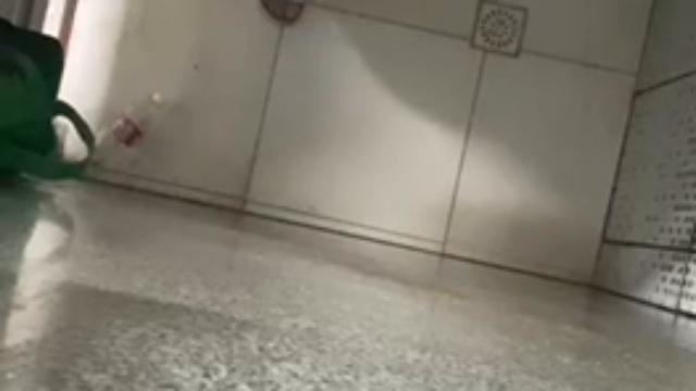 Caminhoneiro no pós punheta