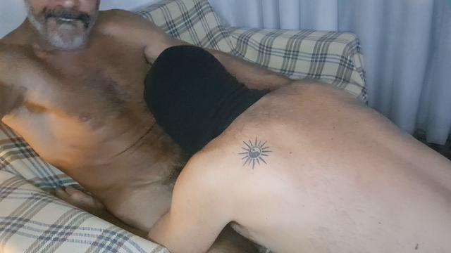 Linguando  o  macho rabudo 