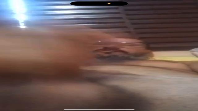 Pescador inédito safado 54 anos batendo até gozar pi...