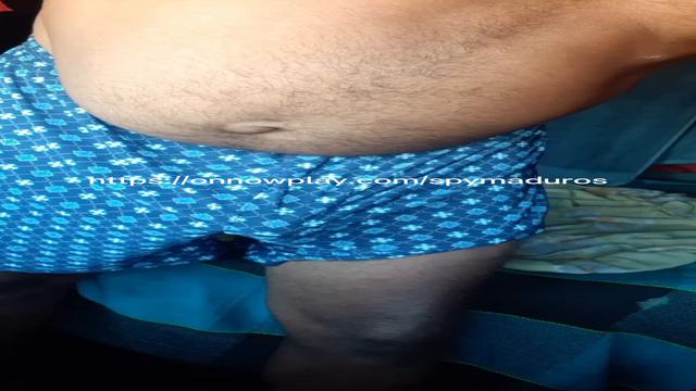 Moreno macho