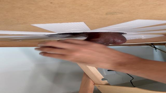 O Minotauro 