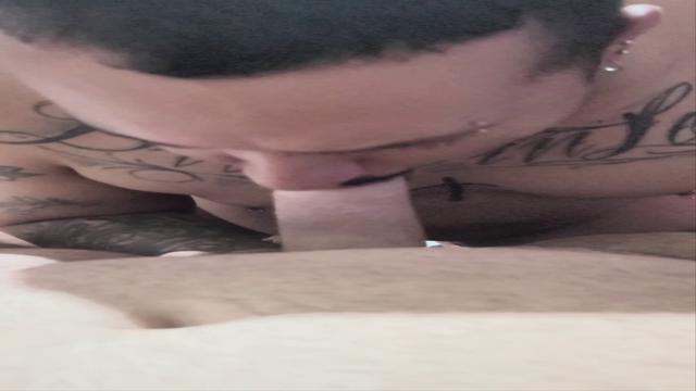 Mamando gostoso o pau do ursão