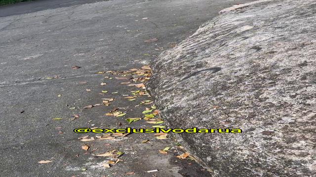 Exclusivo da Rua 