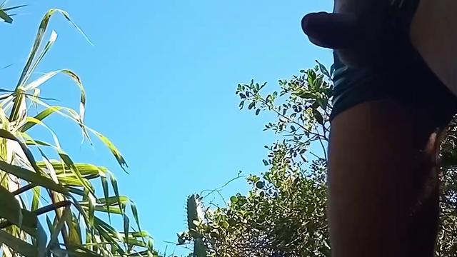 Punheta no matagal
