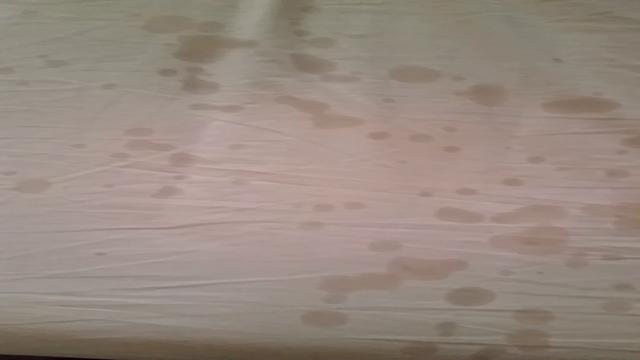 SUPER CUMSHOT FOUNTAIN ON THE BED