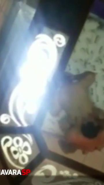 Aventuras do GoroNaVaraSP 018