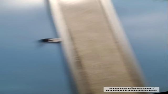 Negões na putaria