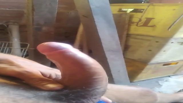 Pau do cara do Facebook 