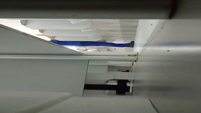 Bora ver esses paus gostosos 