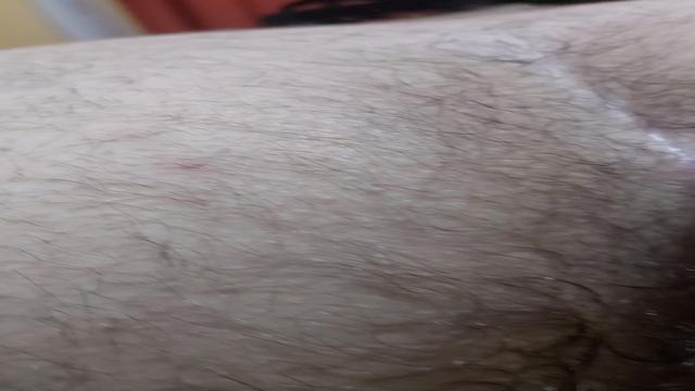 Marrento's cock is happy because it's going ...