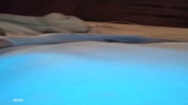 Maduro 70 anos gordinho batendo aquela em breve leit...