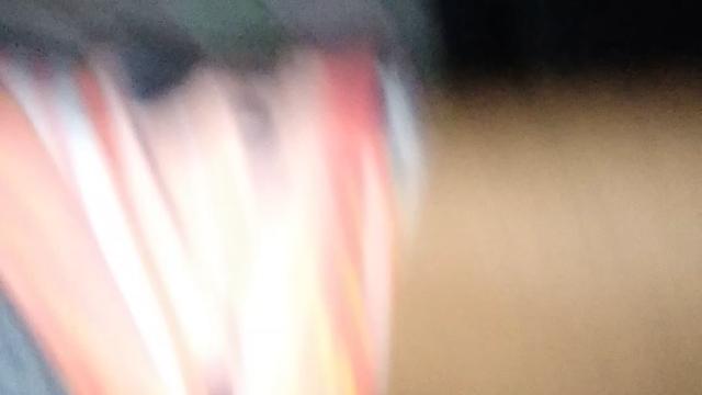 Gozada + mijao 