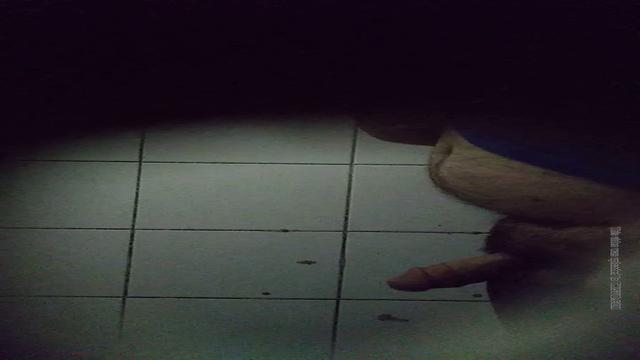 Flagra urso leitando